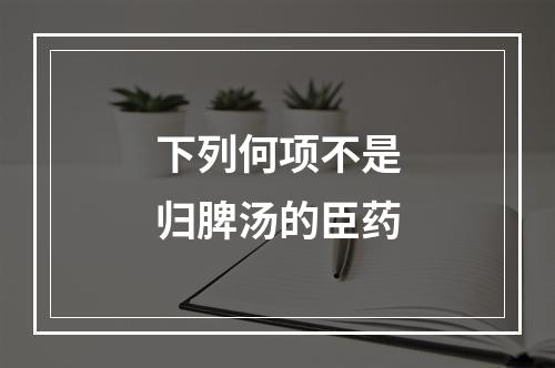 下列何项不是归脾汤的臣药