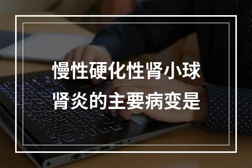 慢性硬化性肾小球肾炎的主要病变是