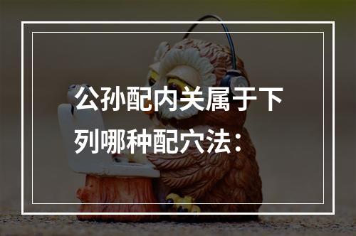 公孙配内关属于下列哪种配穴法：