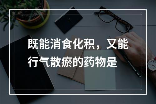 既能消食化积，又能行气散瘀的药物是