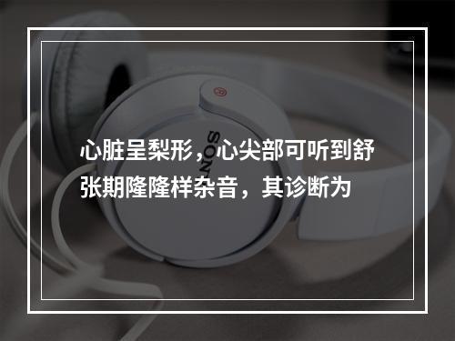 心脏呈梨形，心尖部可听到舒张期隆隆样杂音，其诊断为