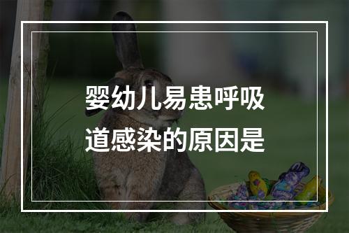 婴幼儿易患呼吸道感染的原因是