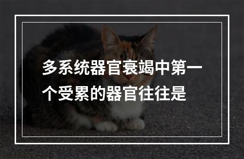 多系统器官衰竭中第一个受累的器官往往是