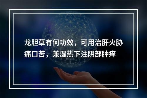 龙胆草有何功效，可用治肝火胁痛口苦，兼湿热下注阴部肿痒