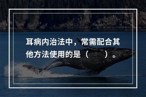 耳病内治法中，常需配合其他方法使用的是（　　）。