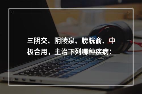 三阴交、阴陵泉、膀胱俞、中极合用，主治下列哪种疾病：