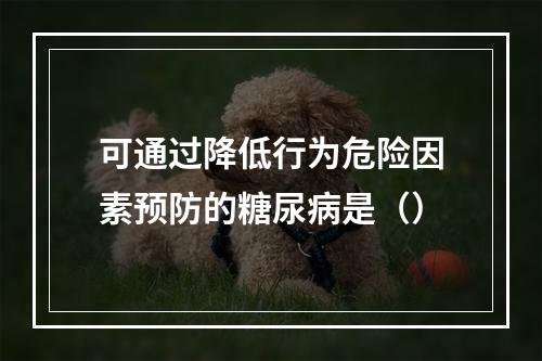 可通过降低行为危险因素预防的糖尿病是（）