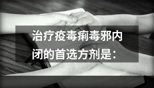 治疗疫毒痢毒邪内闭的首选方剂是：