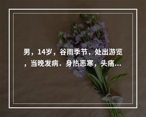 男，14岁，谷雨季节，处出游览，当晚发病．身热恶寒，头痛少汗