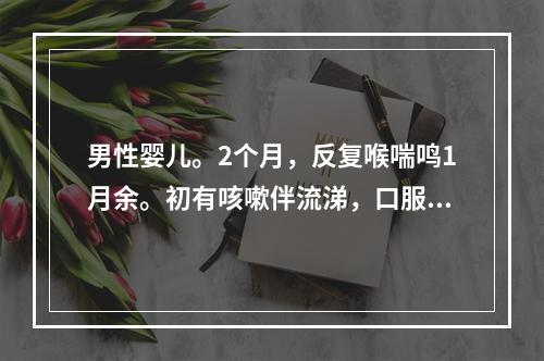 男性婴儿。2个月，反复喉喘鸣1月余。初有咳嗽伴流涕，口服头孢