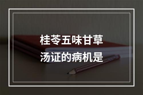 桂苓五味甘草汤证的病机是