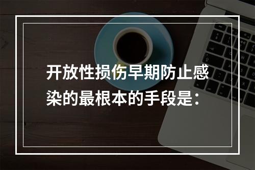 开放性损伤早期防止感染的最根本的手段是：