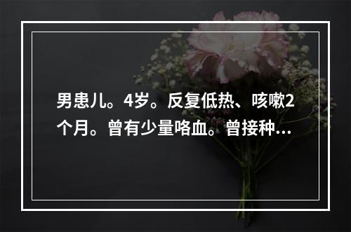 男患儿。4岁。反复低热、咳嗽2个月。曾有少量咯血。曾接种卡介