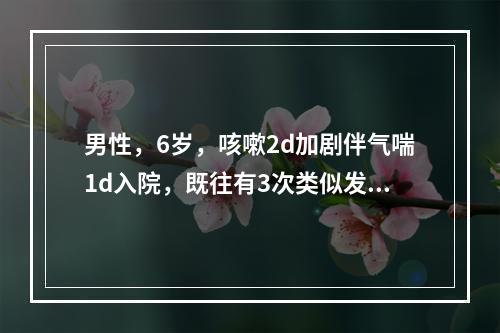 男性，6岁，咳嗽2d加剧伴气喘1d入院，既往有3次类似发作史