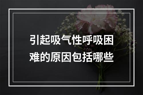 引起吸气性呼吸困难的原因包括哪些