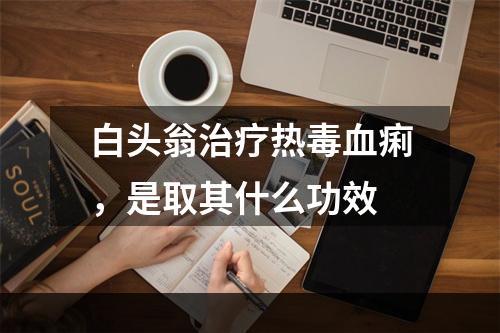 白头翁治疗热毒血痢，是取其什么功效