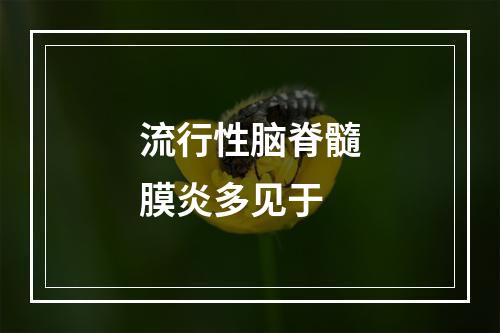 流行性脑脊髓膜炎多见于