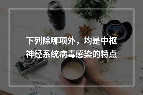 下列除哪项外，均是中枢神经系统病毒感染的特点