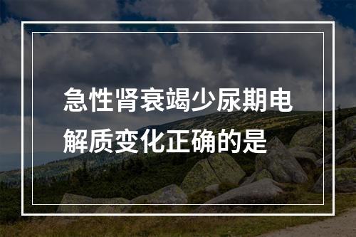 急性肾衰竭少尿期电解质变化正确的是