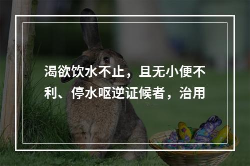 渴欲饮水不止，且无小便不利、停水呕逆证候者，治用