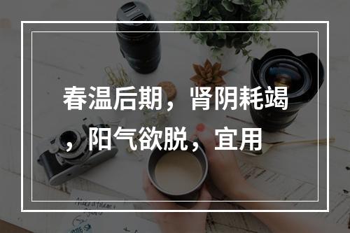 春温后期，肾阴耗竭，阳气欲脱，宜用