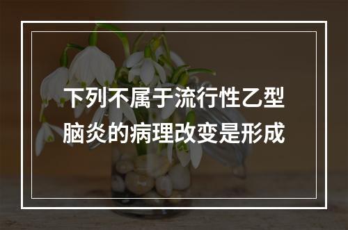 下列不属于流行性乙型脑炎的病理改变是形成