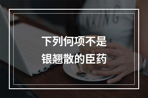 下列何项不是银翘散的臣药