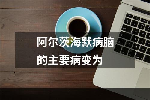 阿尔茨海默病脑的主要病变为