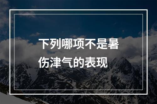 下列哪项不是暑伤津气的表现