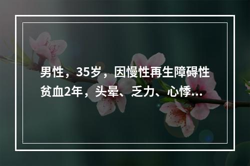 男性，35岁，因慢性再生障碍性贫血2年，头晕、乏力、心悸2天