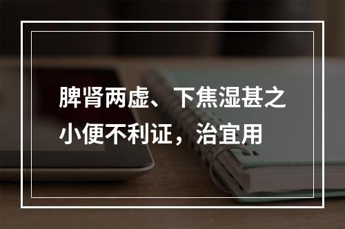 脾肾两虚、下焦湿甚之小便不利证，治宜用