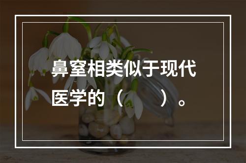 鼻窒相类似于现代医学的（　　）。