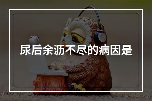 尿后余沥不尽的病因是