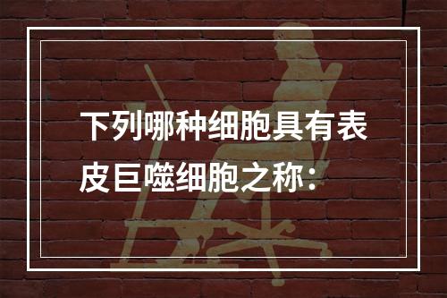 下列哪种细胞具有表皮巨噬细胞之称：