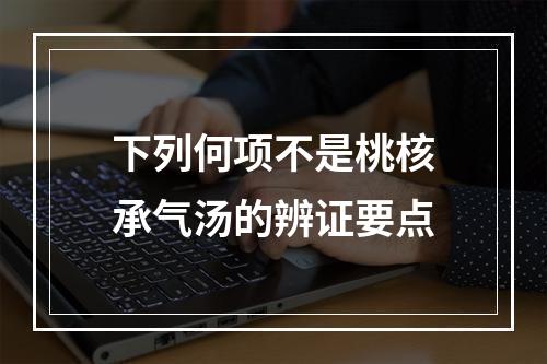 下列何项不是桃核承气汤的辨证要点