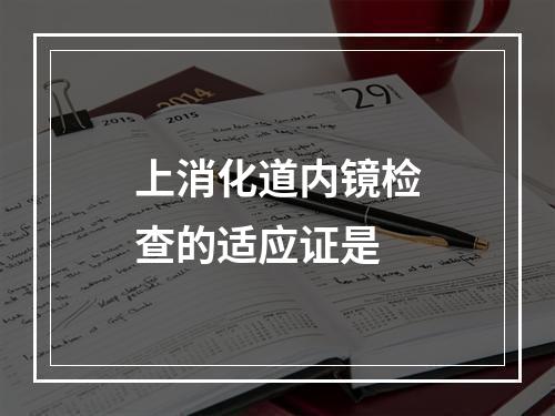 上消化道内镜检查的适应证是