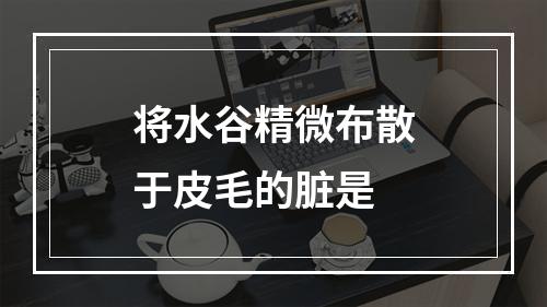 将水谷精微布散于皮毛的脏是