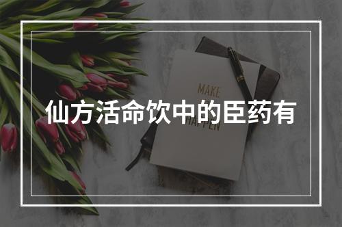 仙方活命饮中的臣药有