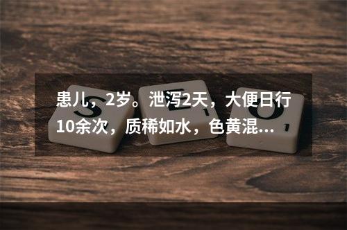 患儿，2岁。泄泻2天，大便日行10余次，质稀如水，色黄混浊。