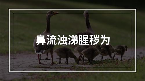 鼻流浊涕腥秽为