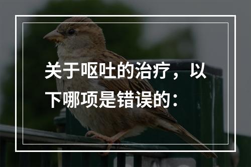 关于呕吐的治疗，以下哪项是错误的：