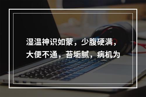 湿温神识如蒙，少腹硬满，大便不通，苔垢腻，病机为