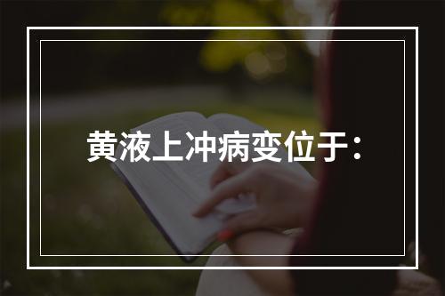 黄液上冲病变位于：