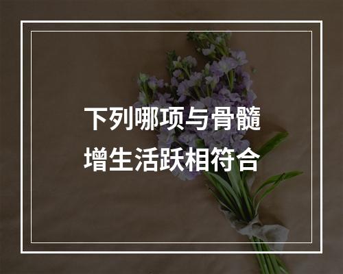 下列哪项与骨髓增生活跃相符合