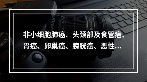 非小细胞肺癌、头颈部及食管癌、胃癌、卵巢癌、膀胱癌、恶性淋巴