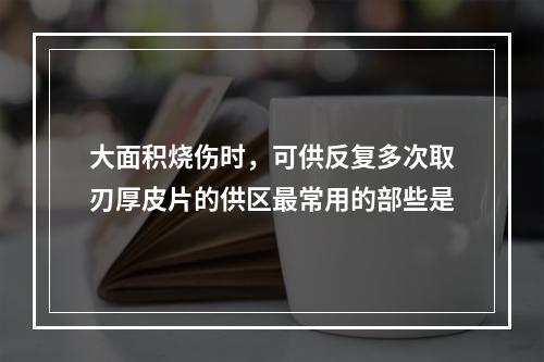 大面积烧伤时，可供反复多次取刃厚皮片的供区最常用的部些是