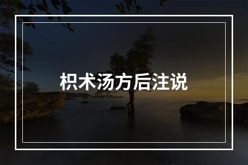 枳术汤方后注说