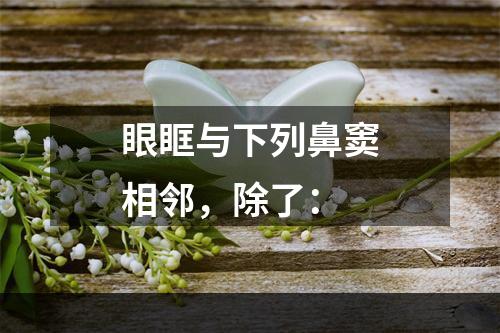 眼眶与下列鼻窦相邻，除了：