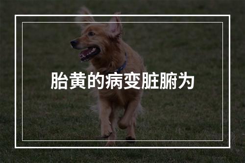 胎黄的病变脏腑为