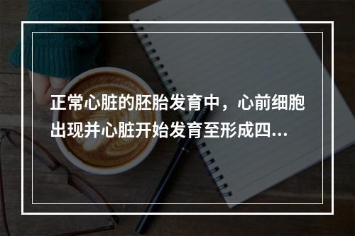 正常心脏的胚胎发育中，心前细胞出现并心脏开始发育至形成四腔胎